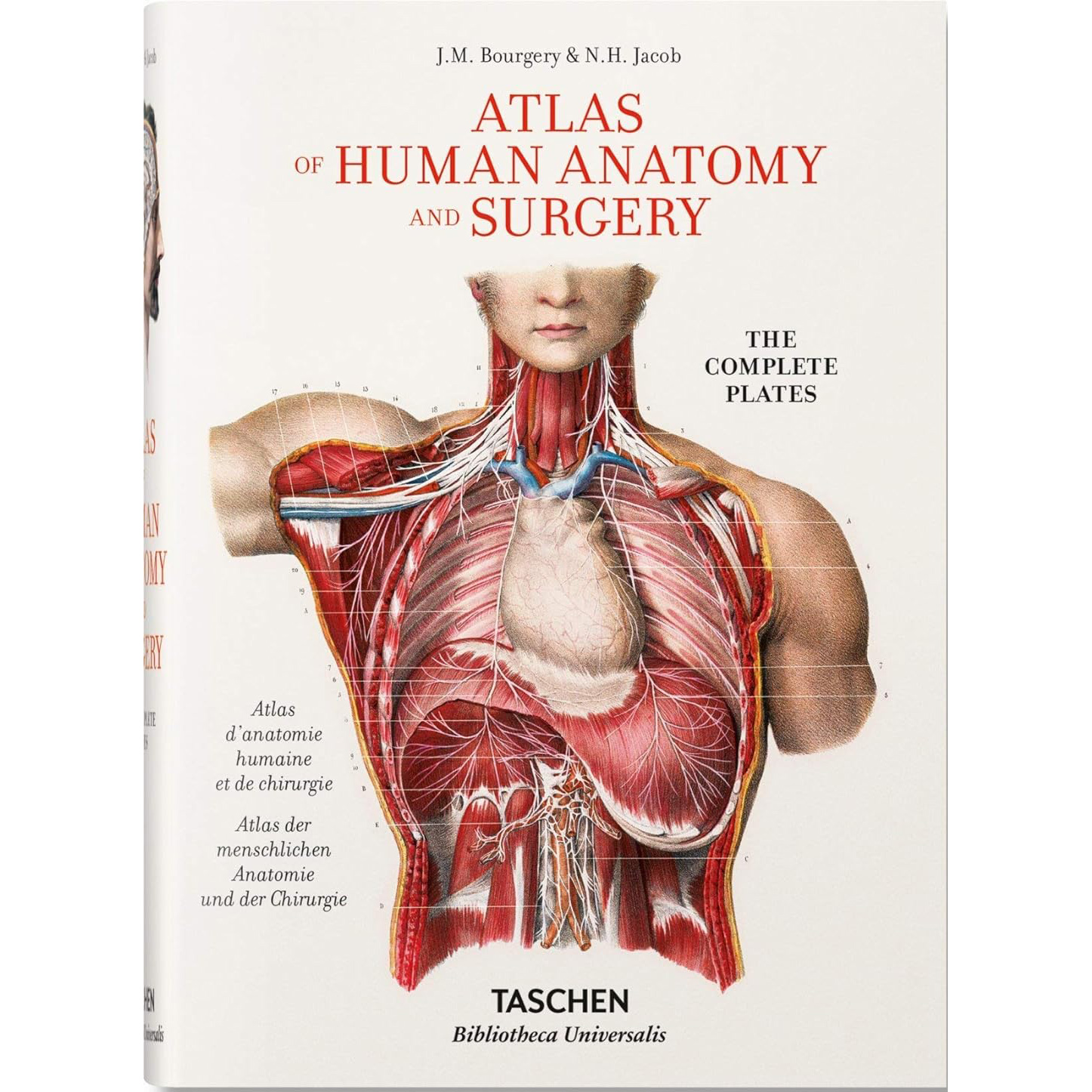 Bourgery. Atlas of Human Anatomy and Surgery