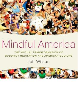 Mindful America: The Mutual Transformation of Buddhist Meditation and American Culture