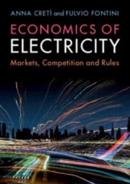 Economics of Electricity: Markets, Competition and Rules