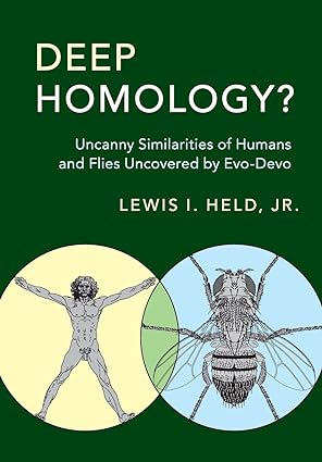 Deep Homology? : Uncanny Similarities of Humans and Flies Uncovered by Evo-Devo