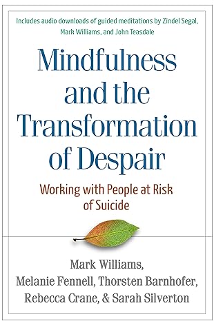 Mindfulness and the Transformation of Despair : Working with People at Risk of Suicide