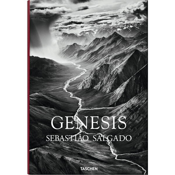 Sebastiao Salgado. Genesis