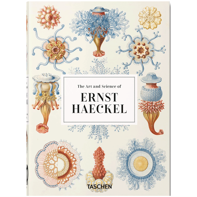 The Art and Science of Ernst Haeckel. 40th Ed.