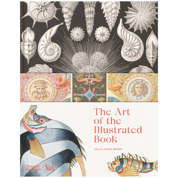 The Art of the Illustrated Book