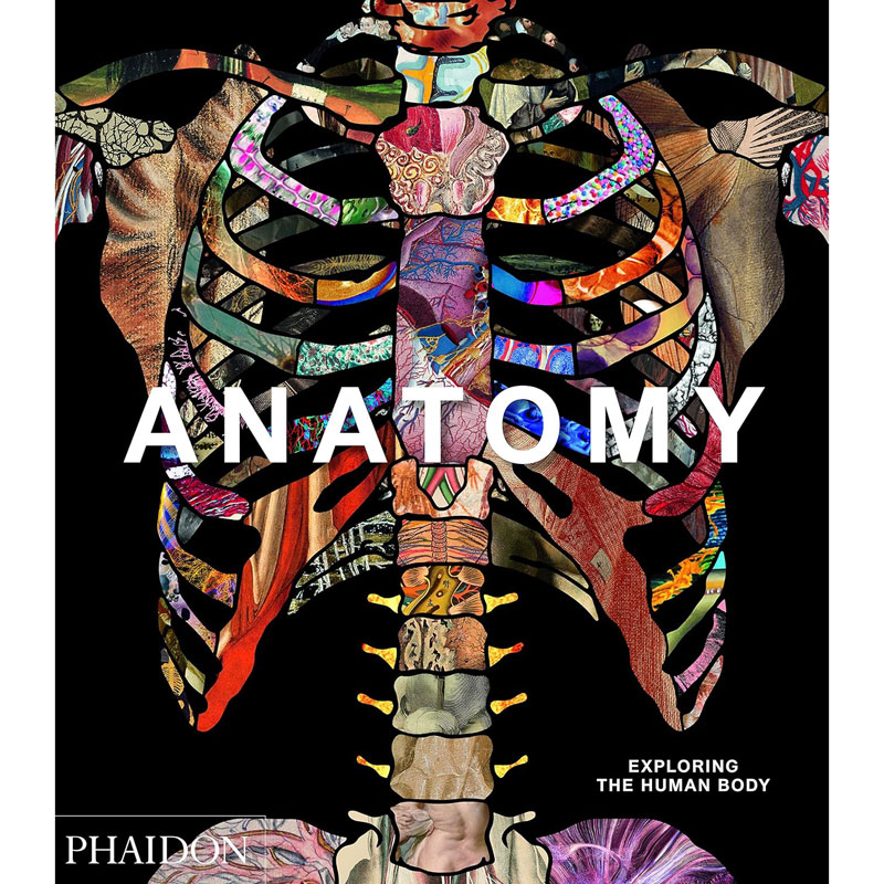 Anatomy: Exploring the Human Body