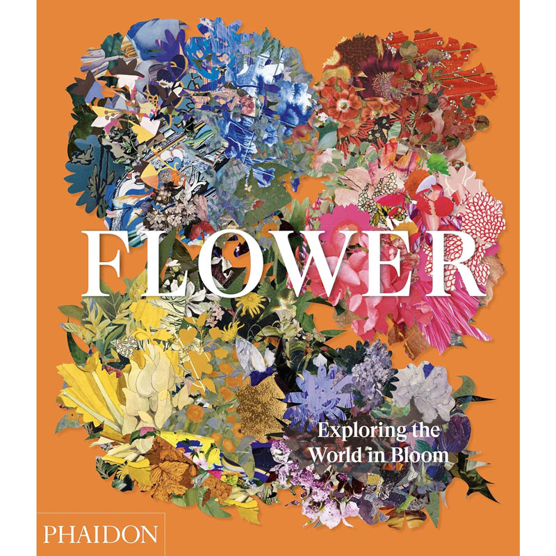 Flower: Exploring the World in Bloom